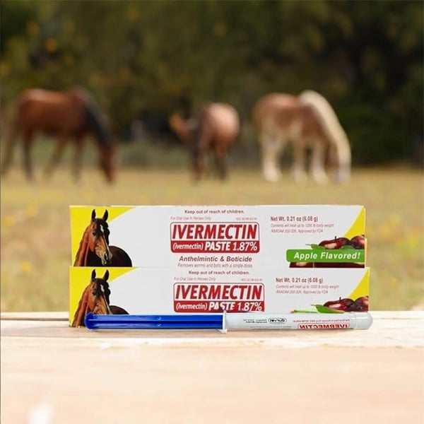 🔥Last Day Promotion 49% OFF--ivermectin Horse Paste 1.87% 6.08g Tubes