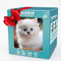 White cat
