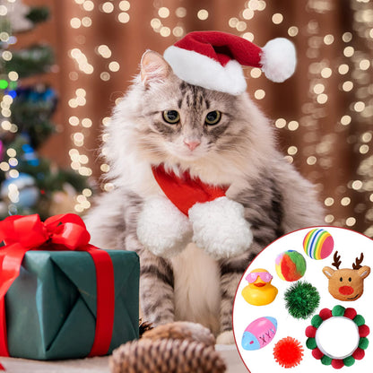 🎅Christmas Countdown Delight!🎅🐱2025 New Countdown to Christmas Cat Advent Calendar