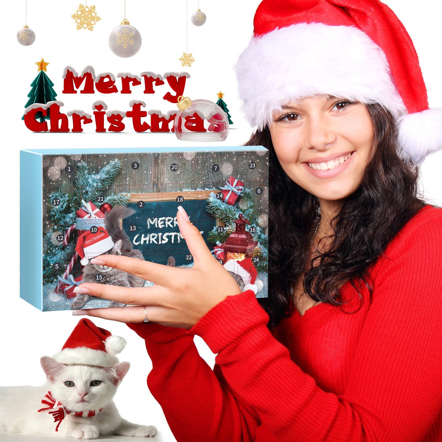 🎅Christmas Countdown Delight!🎅🐱2025 New Countdown to Christmas Cat Advent Calendar