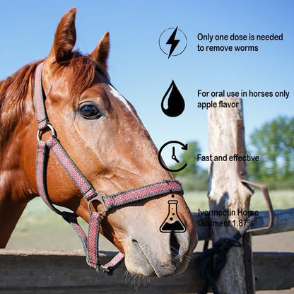 🔥Last Day Promotion 49% OFF--ivermectin Horse Paste 1.87% 6.08g Tubes