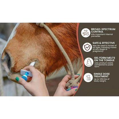 🔥Last Day Promotion 49% OFF--ivermectin Horse Paste 1.87% 6.08g Tubes