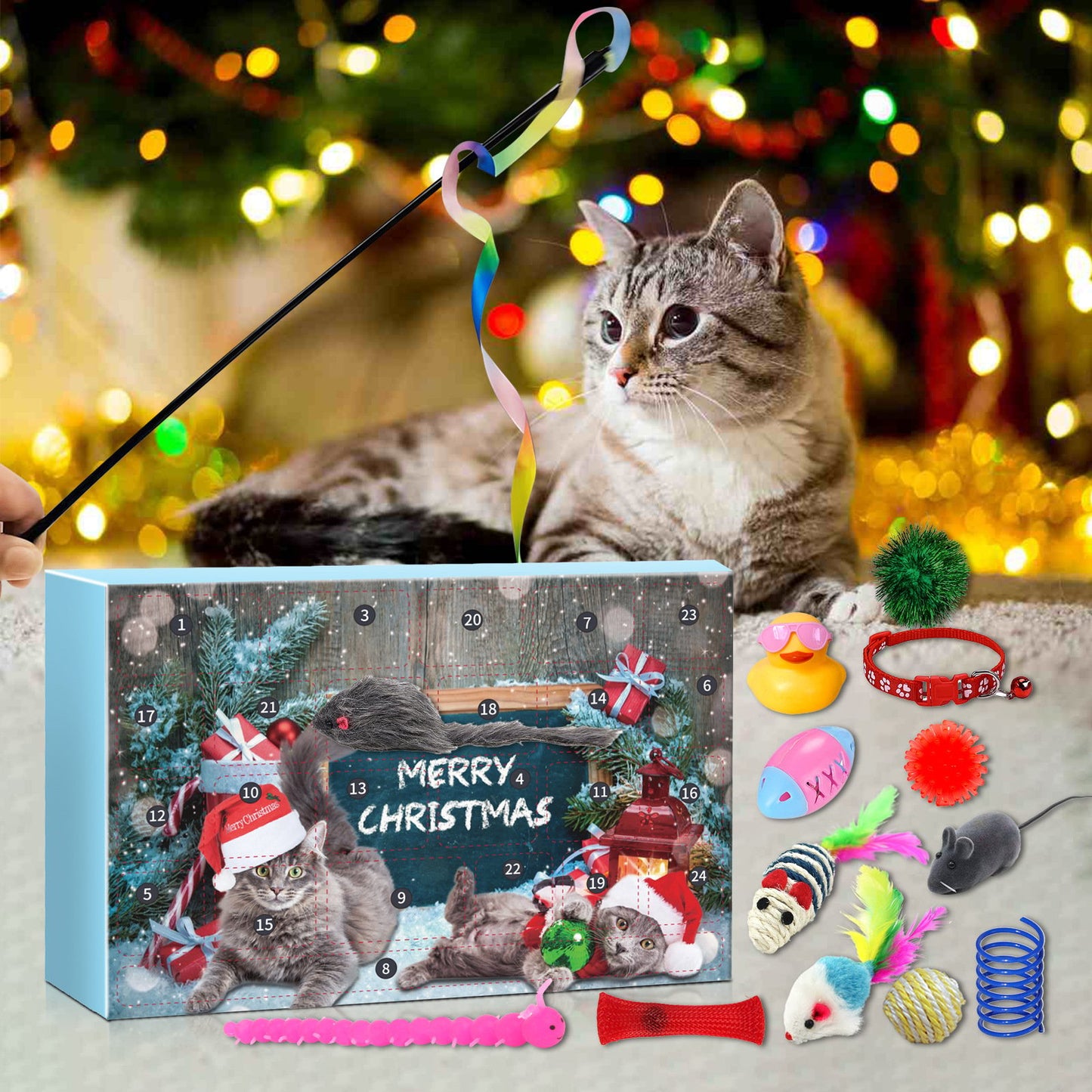 🎅Christmas Countdown Delight!🎅🐱2025 New Countdown to Christmas Cat Advent Calendar