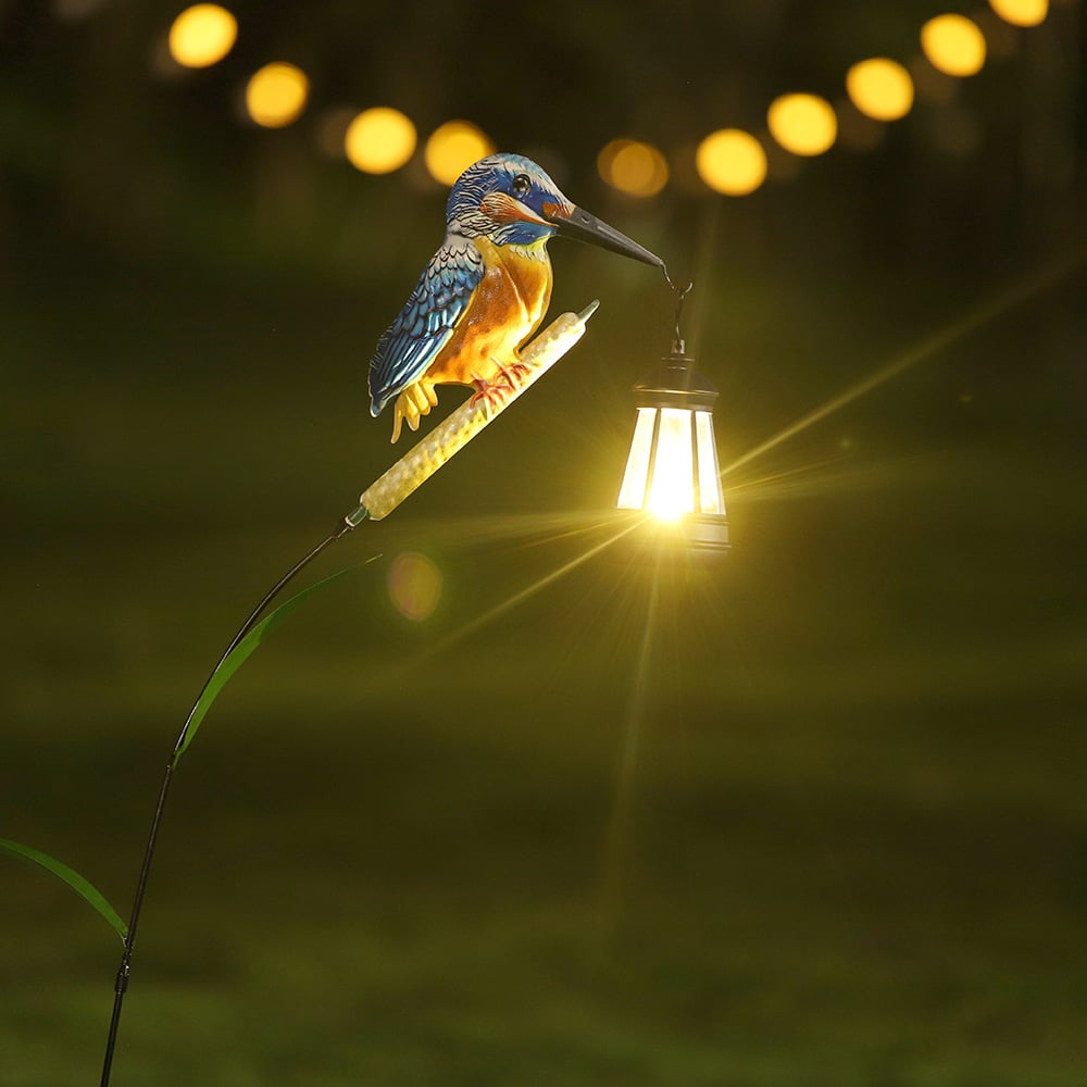 kingfisher