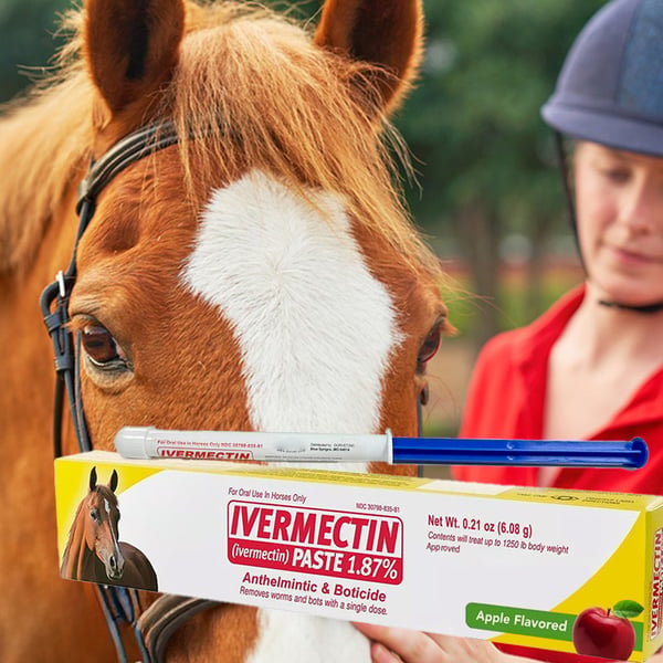 🔥Last Day Promotion 49% OFF--ivermectin Horse Paste 1.87% 6.08g Tubes
