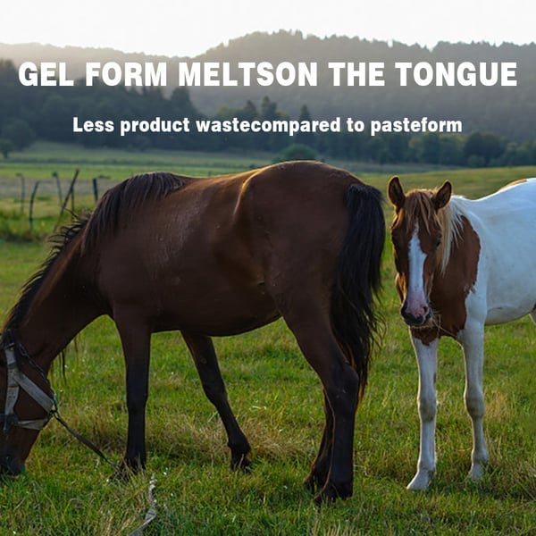 🔥Last Day Promotion 49% OFF--ivermectin Horse Paste 1.87% 6.08g Tubes