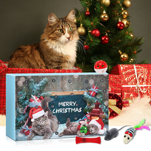 🎅Christmas Countdown Delight!🎅🐱2025 New Countdown to Christmas Cat Advent Calendar