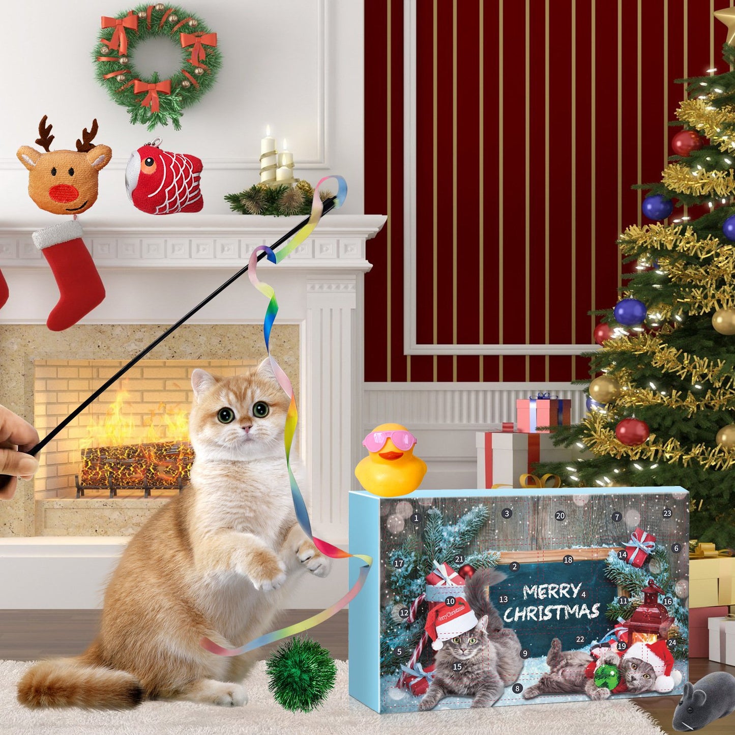 🎅Christmas Countdown Delight!🎅🐱2025 New Countdown to Christmas Cat Advent Calendar